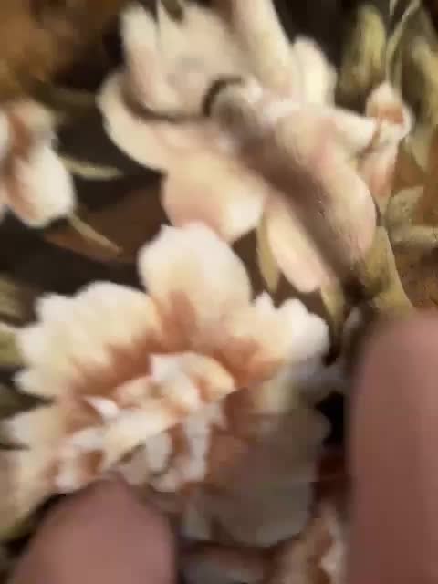 Aleksaa-11 Live Sex December 12, 2025