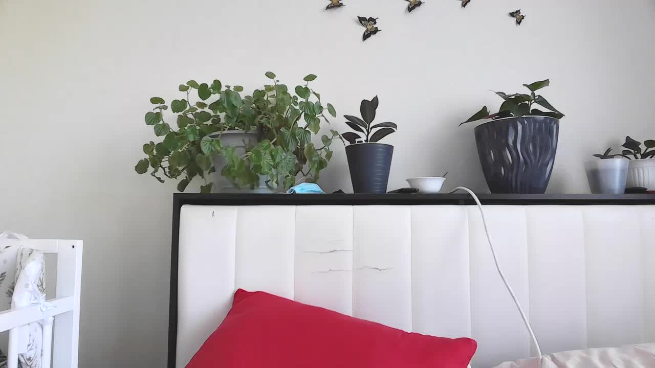 FENIKSa Live Sex August 18, 2025