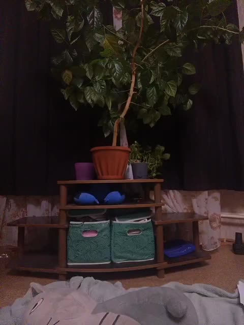 Ymmixxx Live Sex December 13, 2025