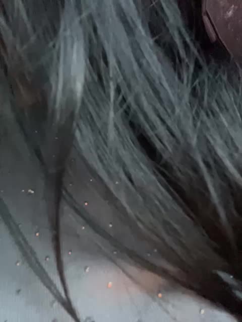 behardxxx Live Sex December 13, 2025