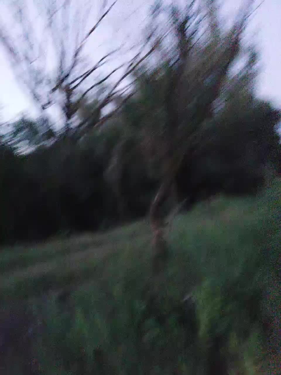 Lubovniki Live Sex December 17, 2025