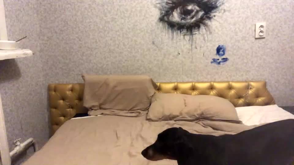 shyredstar Live Sex December 12, 2025