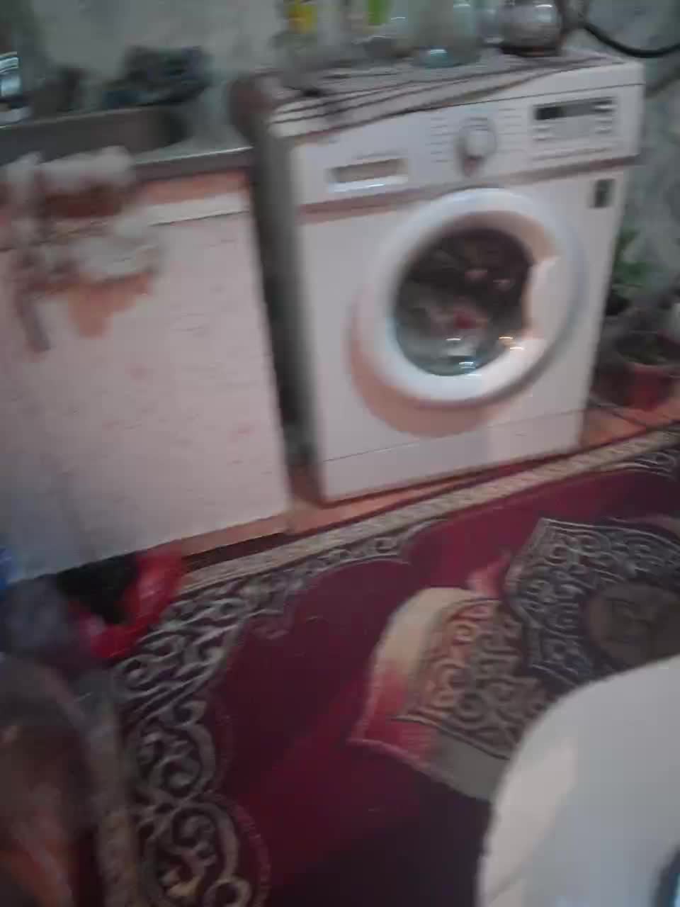 Diana17Eg Live Sex August 18, 2025