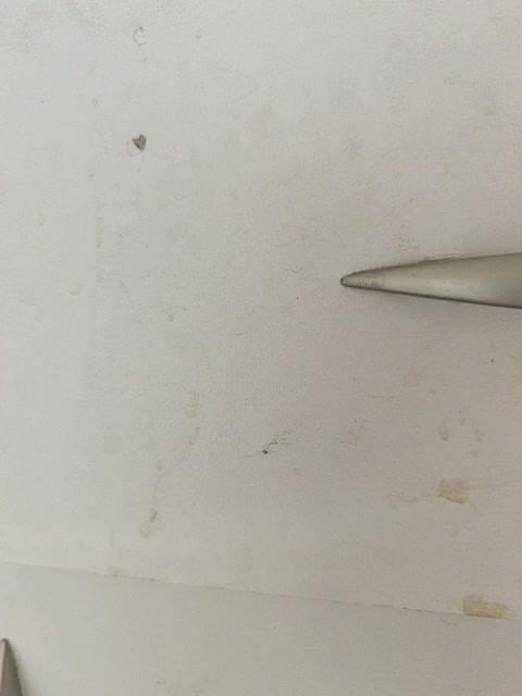 Laskikakvskaz Live Sex December 17, 2025