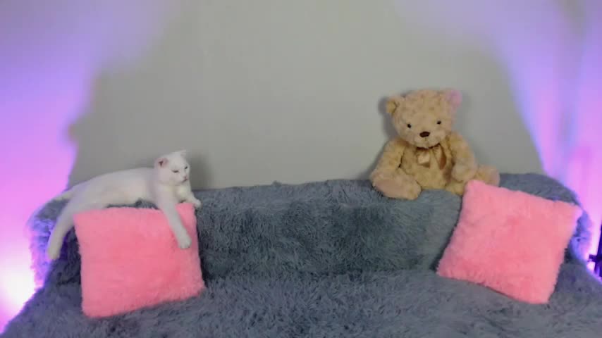 EvaBalmer Live Sex December 14, 2025