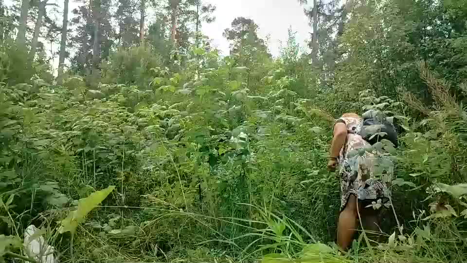 siberiataiga Live Sex December 14, 2025