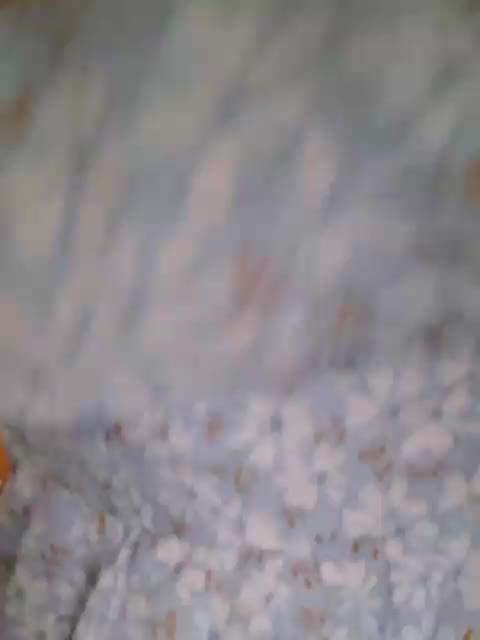 -Miila- Live Sex December 15, 2025