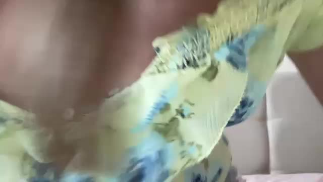 LizaFlower1 Live Sex December 13, 2025