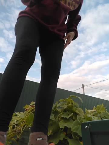 Lanusik88 Live Sex December 15, 2025