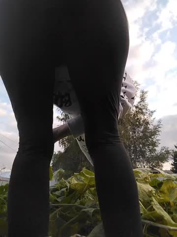 Lanusik88 Live Sex December 15, 2025