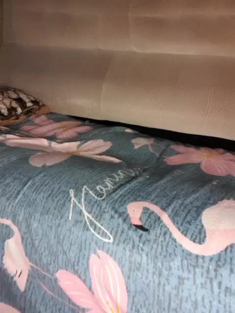 GospohaXXX Live Sex December 17, 2025