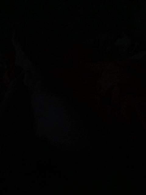 ParaParampam93 Live Sex August 20, 2025