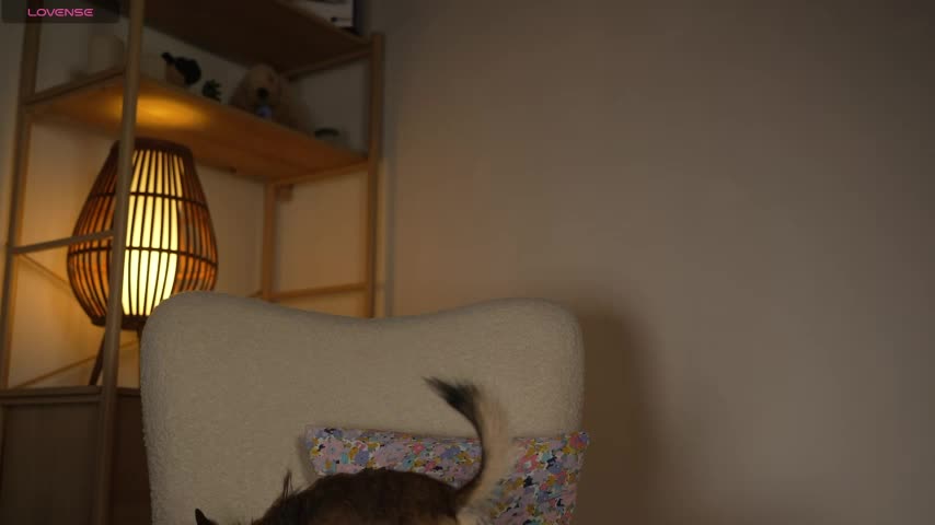 HelloHodge Live Sex December 19, 2025