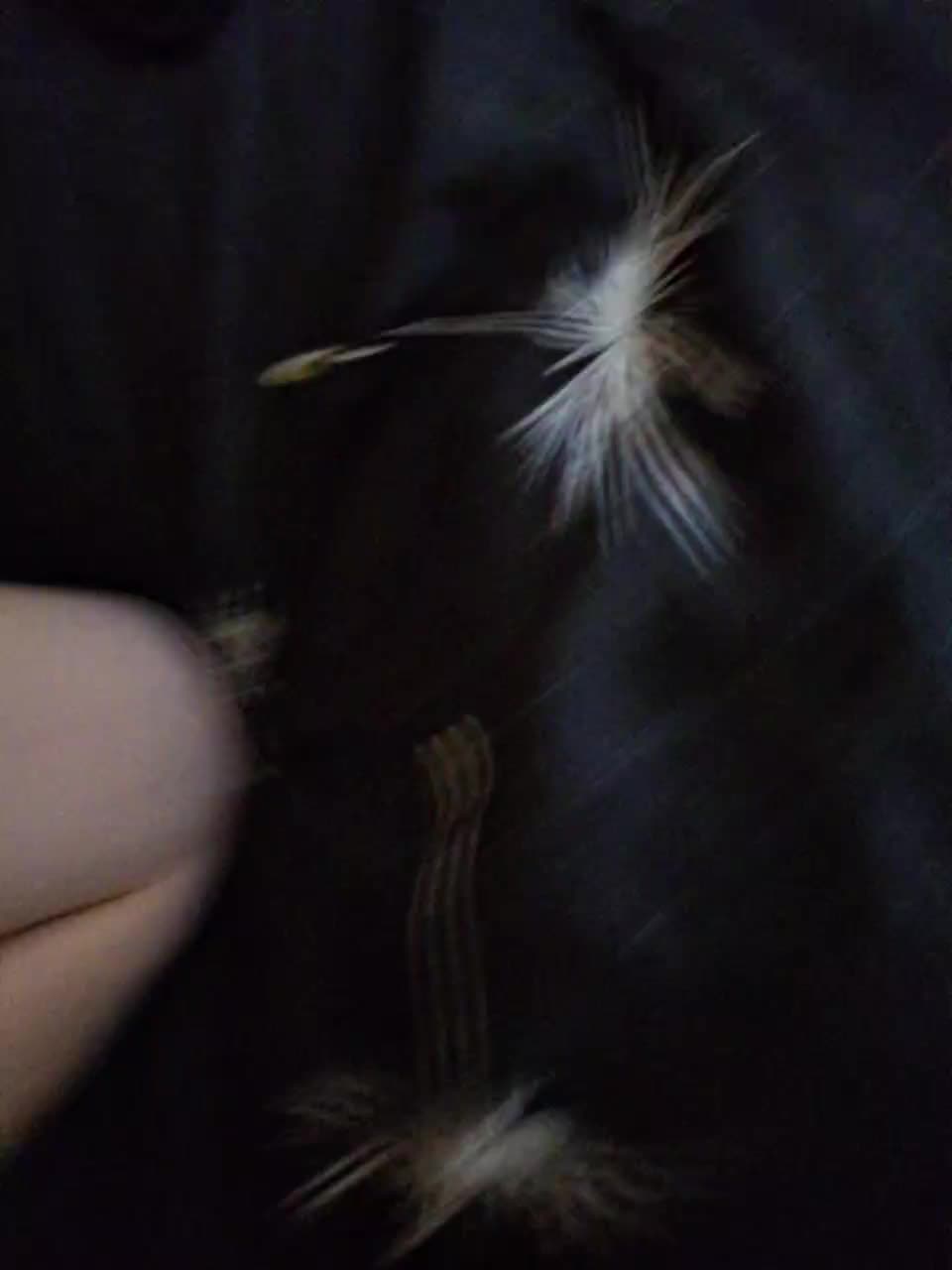 Molli_ Live Sex December 13, 2025