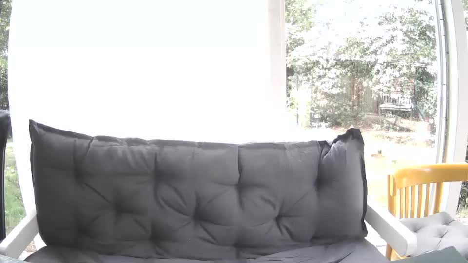 woodwurm Live Sex December 18, 2025