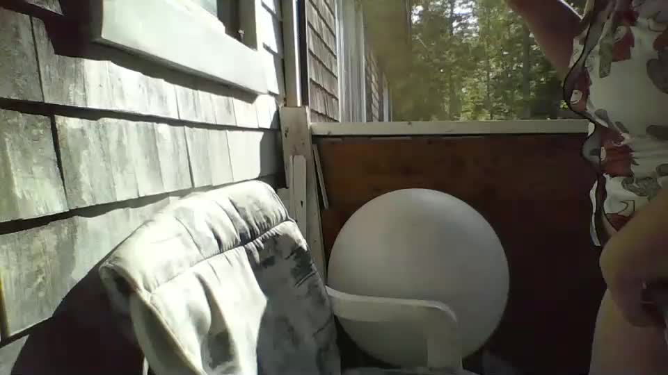 bedbandits Live Sex December 13, 2025