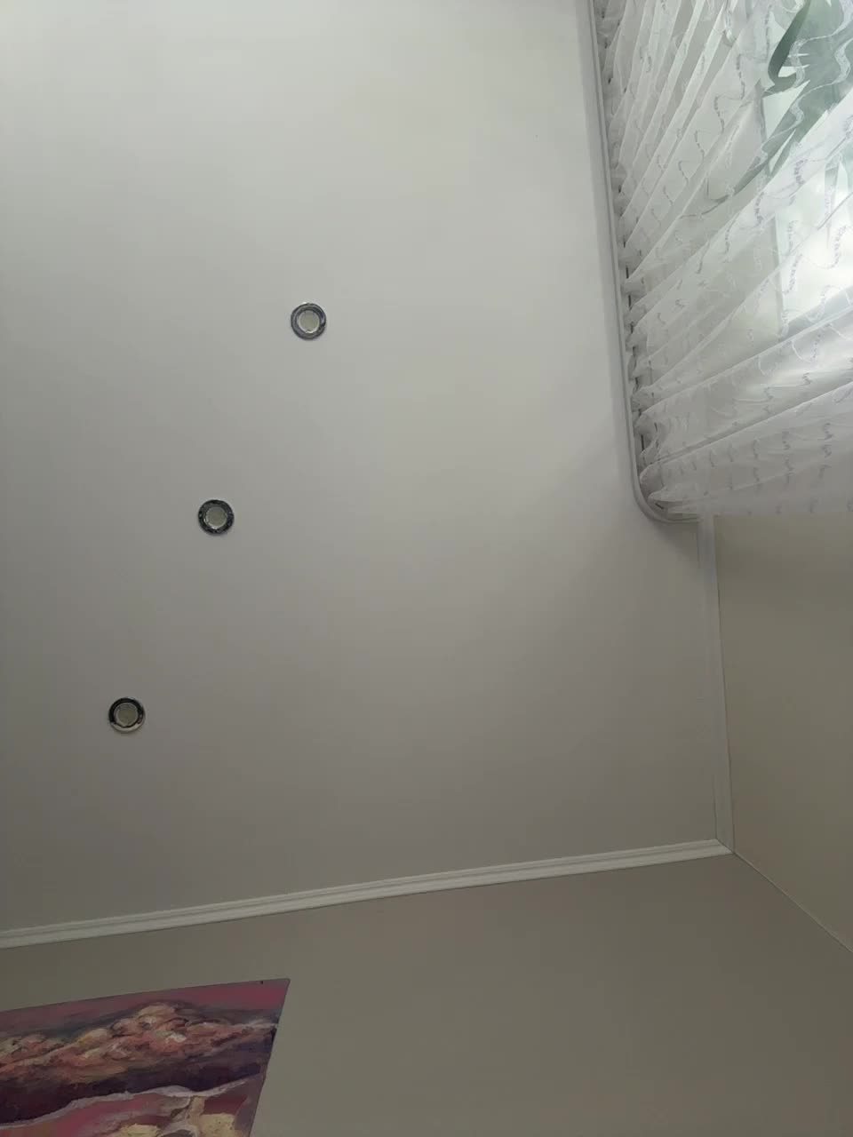 pizzahott Live Sex December 14, 2025