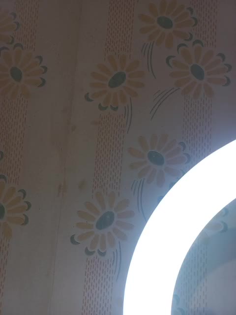 VselenaSun402 Live Sex December 14, 2025