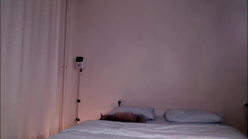 milky__way_ Live Sex December 13, 2025