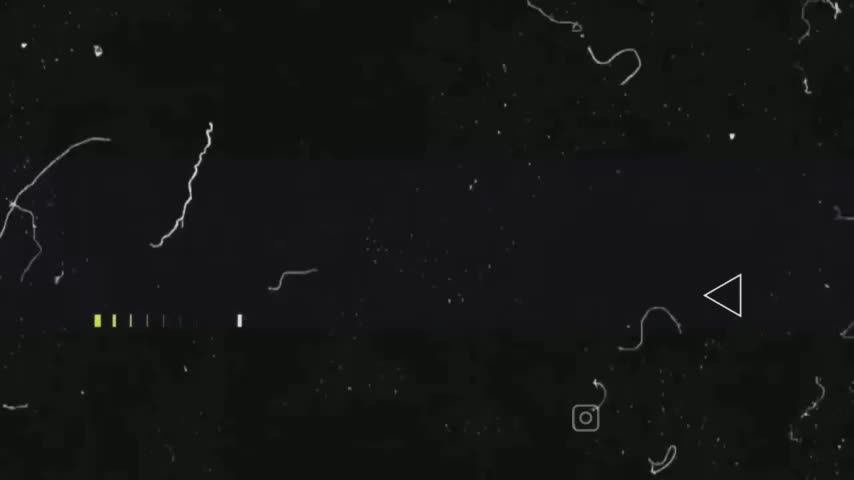 VivianBC Live Sex December 14, 2025