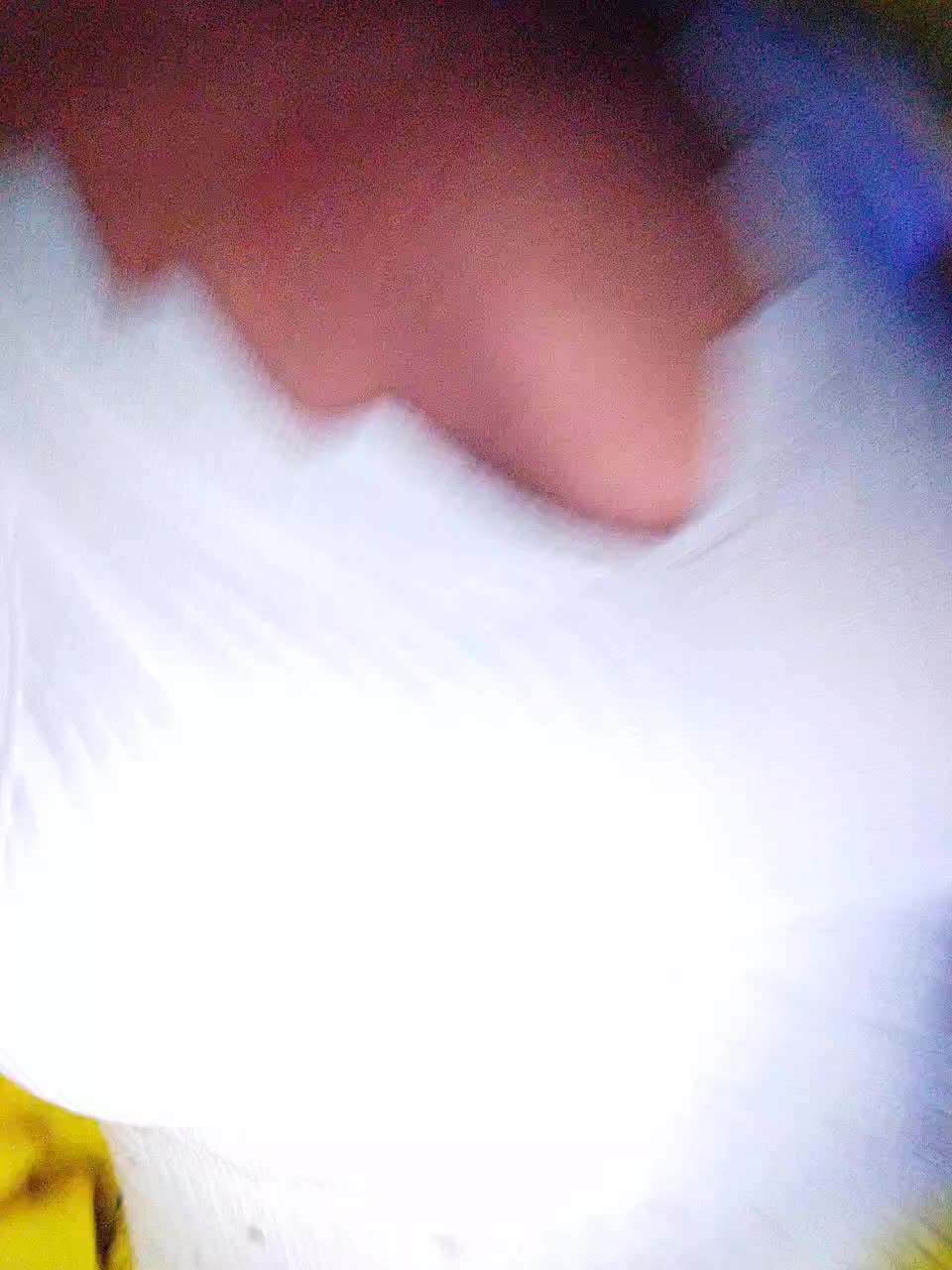 Blondi_Love Live Sex December 17, 2025