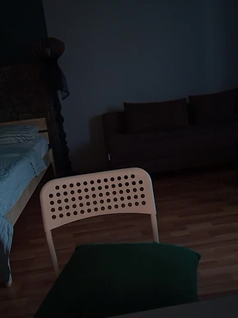 Brunetochkaaa Live Sex December 13, 2025