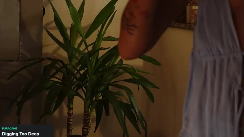 9calliope Live Sex August 22, 2025