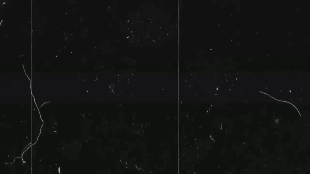 -Vivian- Live Sex December 13, 2025