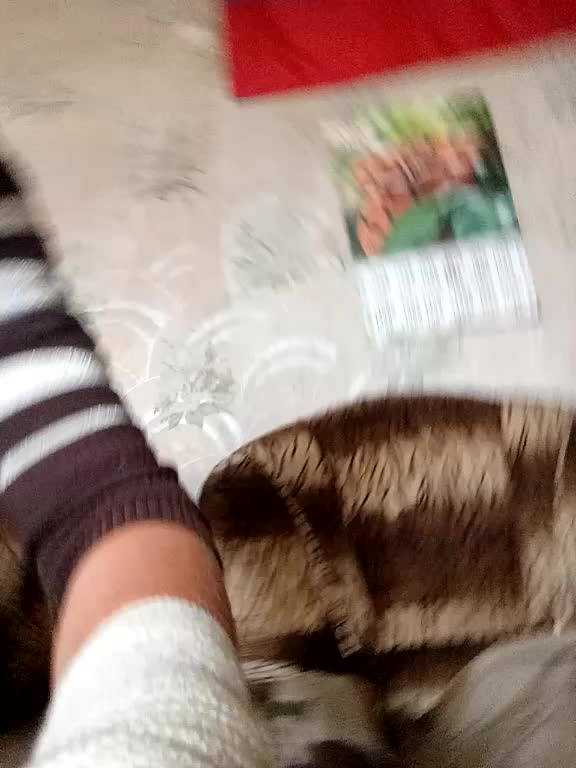 Calibriya Live Sex December 17, 2025