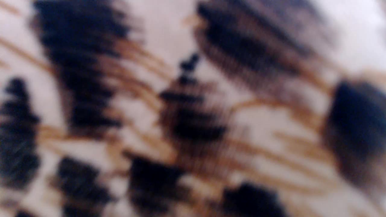 Veta-Viola Live Sex December 18, 2025