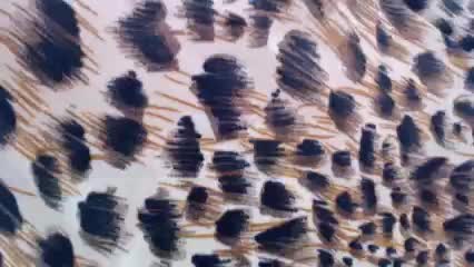 Veta-Viola Live Sex December 18, 2025