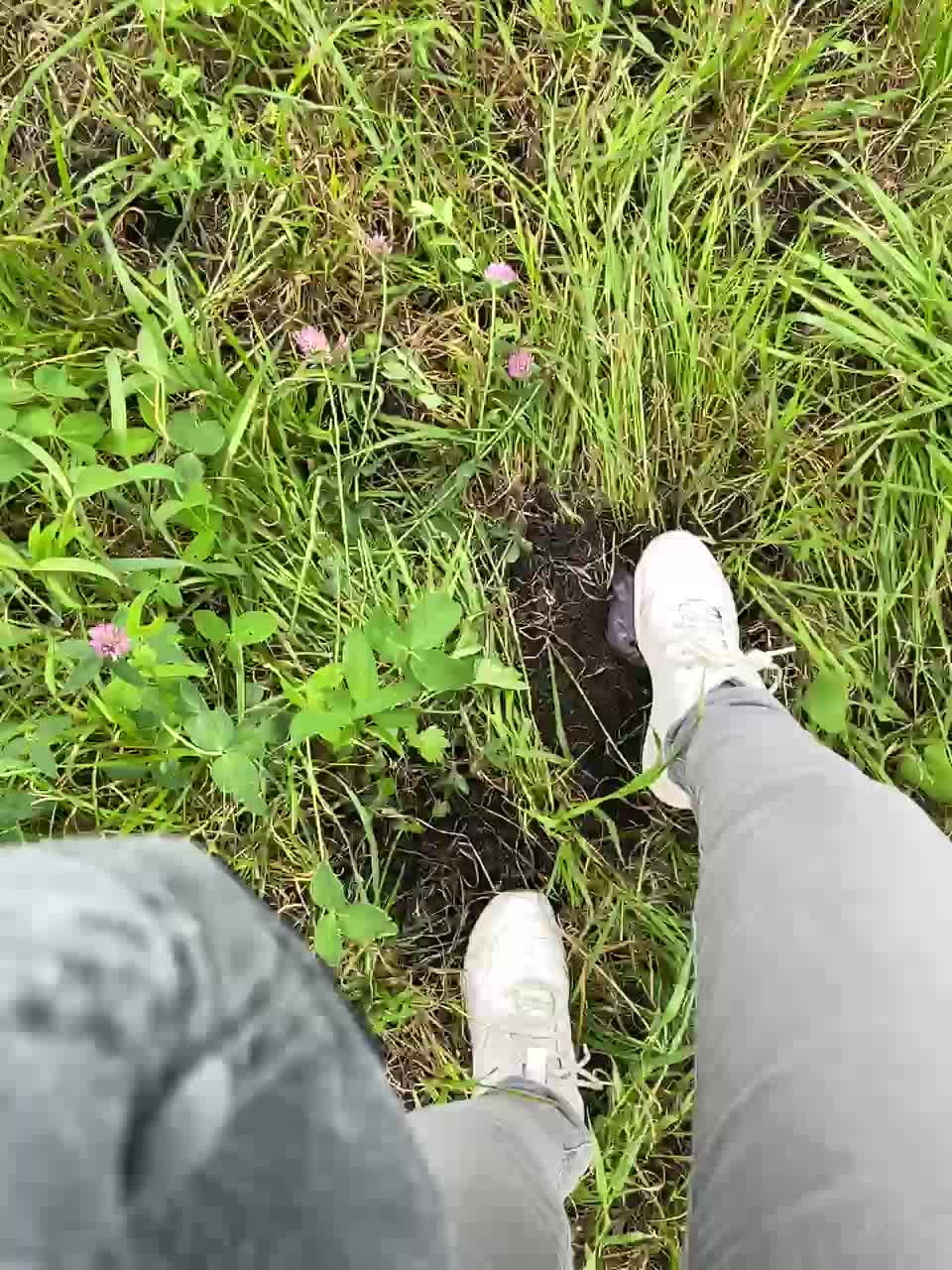 RedAura Live Sex December 14, 2025