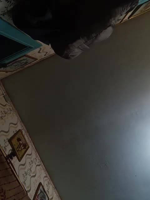 Xo4y-SeXa Live Sex December 15, 2025