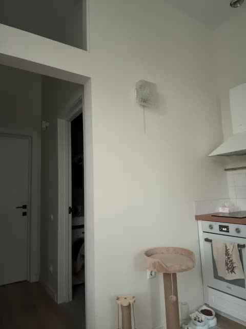 -Your-Michelle- Live Sex December 13, 2025