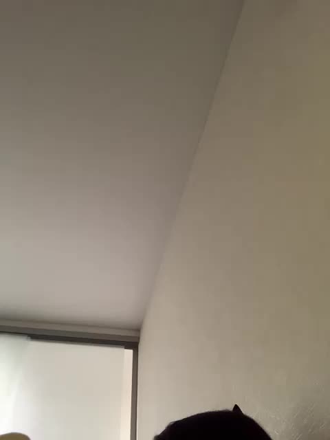 Italianka Live Sex December 13, 2025