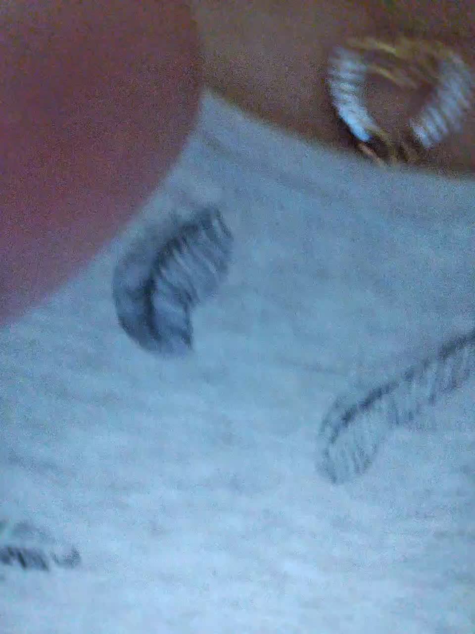 M-o-R-k-O-v-K-a Live Sex December 17, 2025