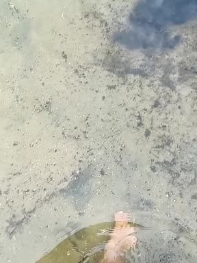 BabyMarm Live Sex December 12, 2025