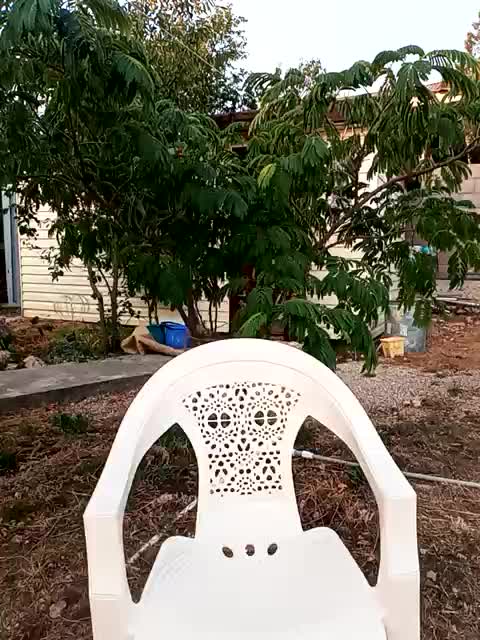 KonFeetaa Live Sex December 17, 2025