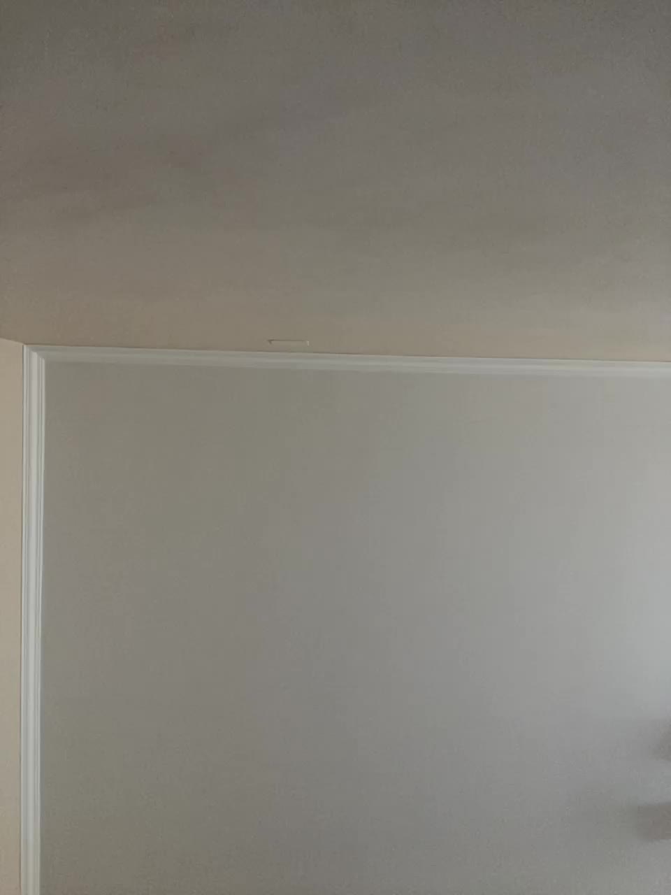 polli_molli Live Sex August 23, 2025