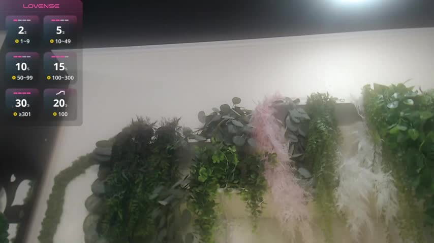 scyrim2 Live Sex December 19, 2025