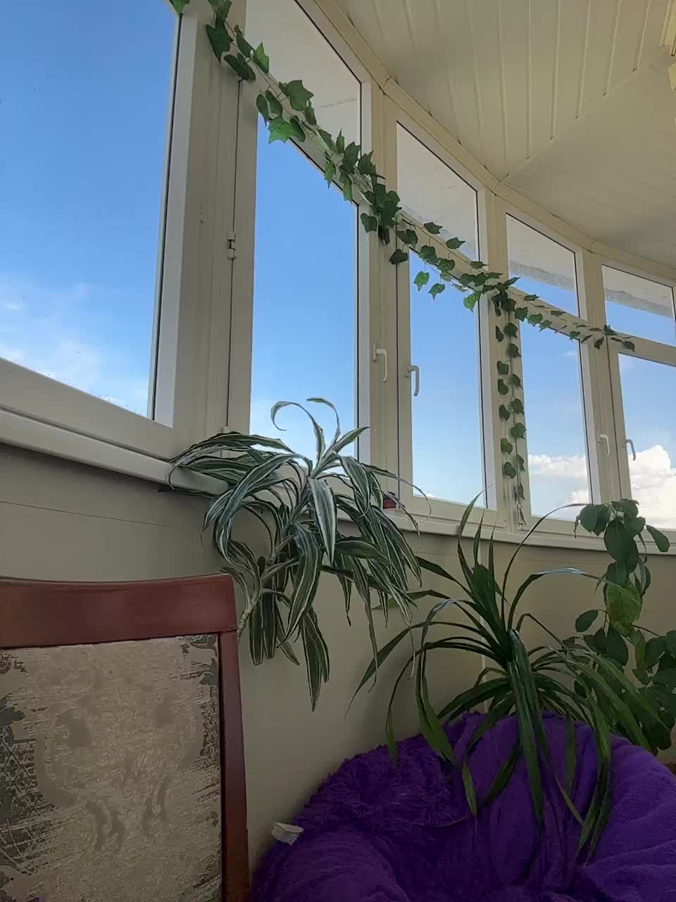 WednesdayFridayAddams Live Sex December 13, 2025