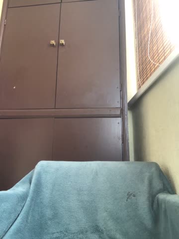 DaValichka Live Sex December 14, 2025