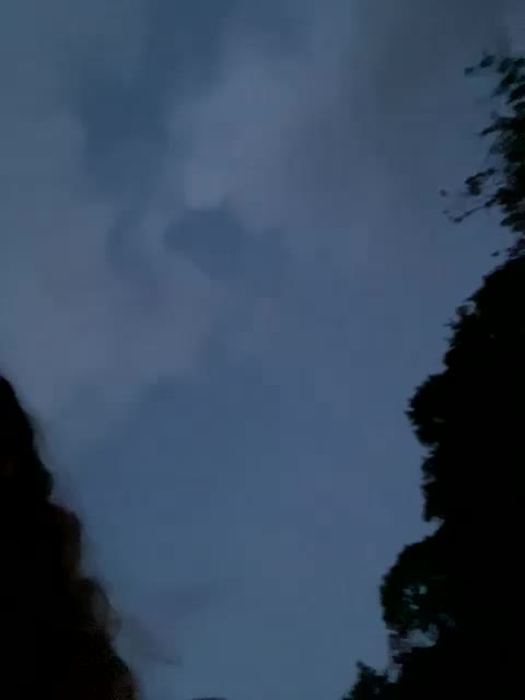 Chikipikin Live Sex December 13, 2025