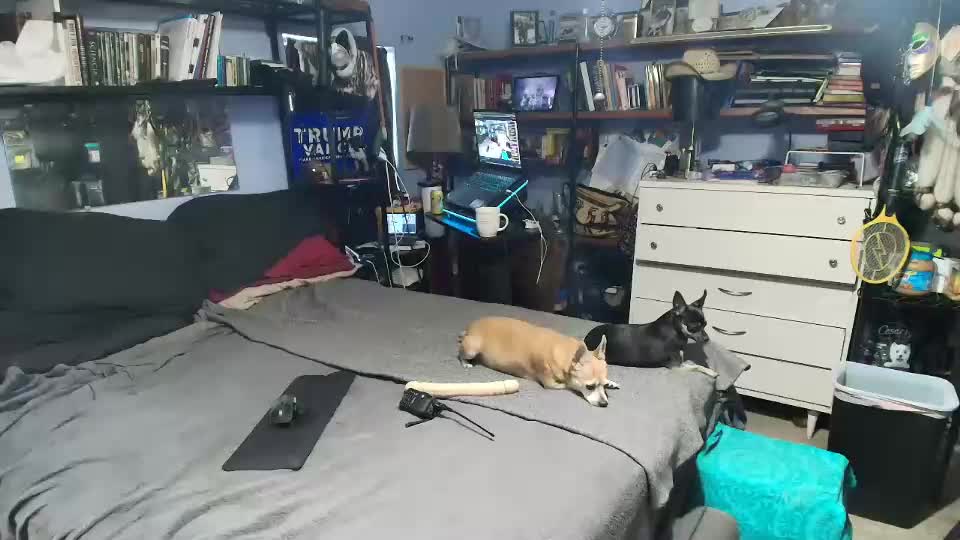 pink_black Live Sex December 17, 2025