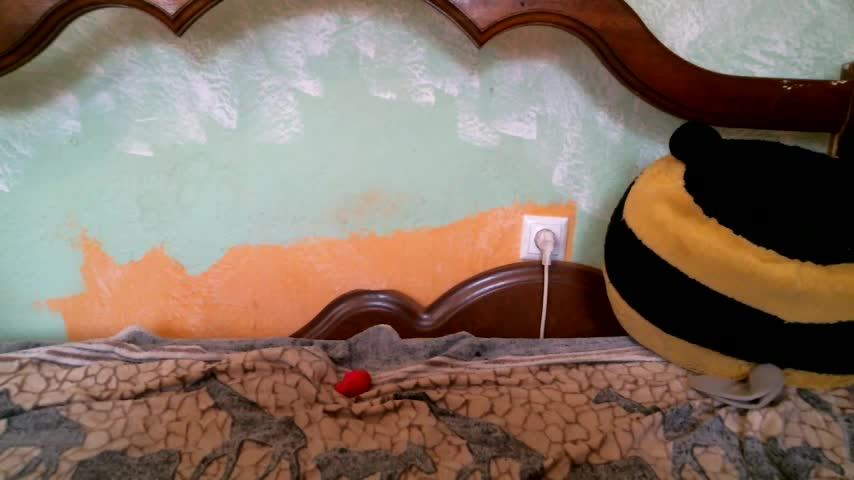 DennisXCaroll Live Sex December 17, 2025