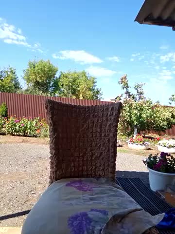 LybovNTV Live Sex December 17, 2025