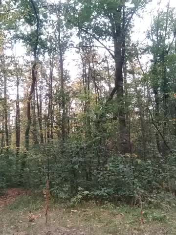 Niht_Angels Live Sex December 13, 2025