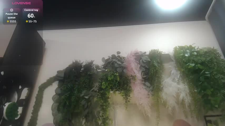 scyrim2 Live Sex December 19, 2025