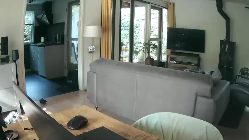 woodwurm Live Sex August 24, 2025