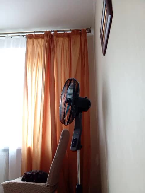 GolayaPravda Live Sex December 14, 2025